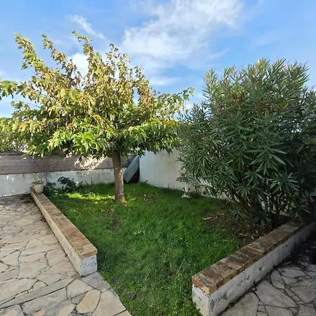 Sur Les Dunes La Gueriniere